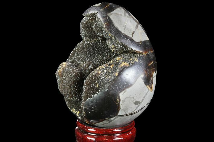 Septarian Dragon Egg Geode - Brown Crystals #88357